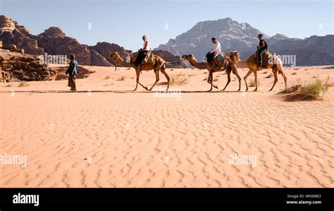 Wish You Were Here: Astride camels in the Sahara Desert